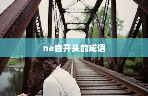 na音开头的成语