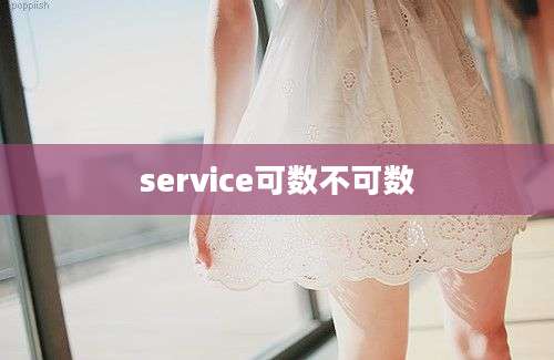 service可数不可数