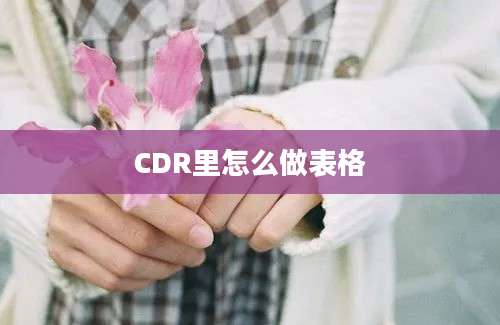 CDR里怎么做表格