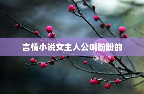 言情小说女主人公叫盼盼的