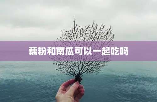 藕粉和南瓜可以一起吃吗