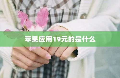 苹果应用19元的是什么