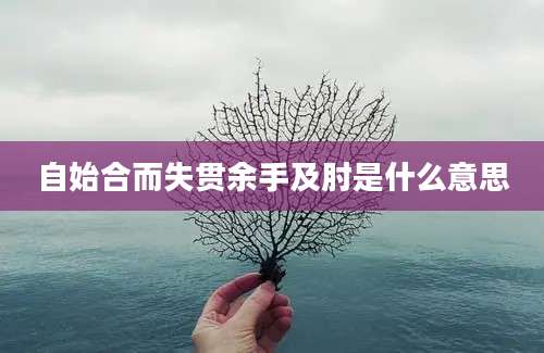 自始合而失贯余手及肘是什么意思