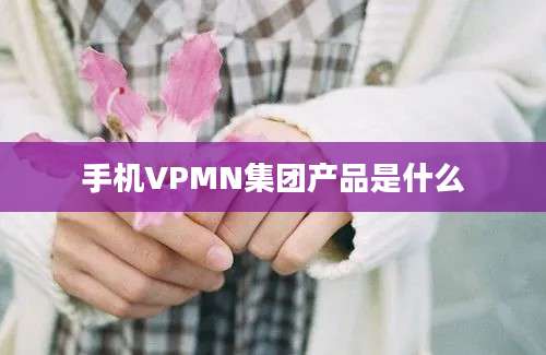 手机VPMN集团产品是什么