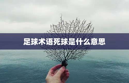 足球术语死球是什么意思