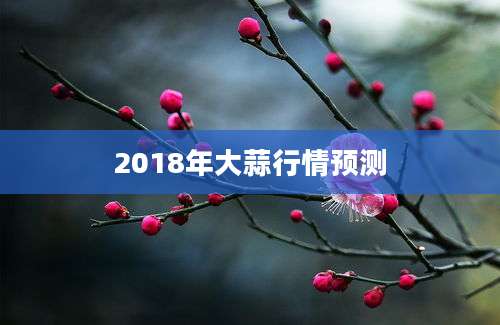 2018年大蒜行情预测