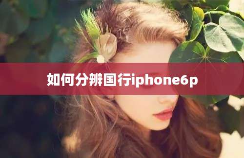 如何分辨国行iphone6p