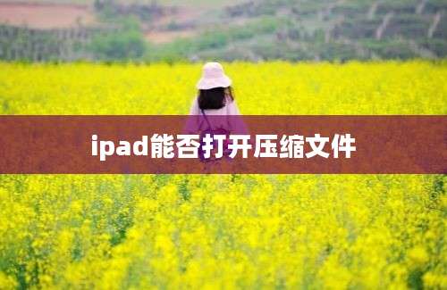 ipad能否打开压缩文件