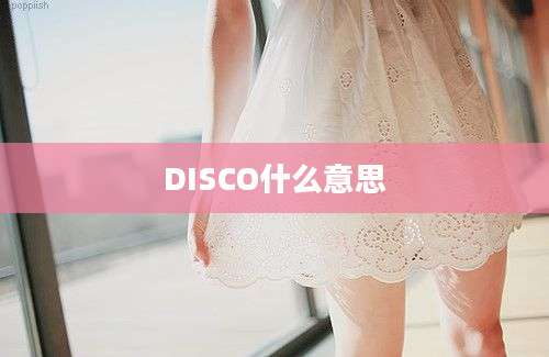 DISCO什么意思