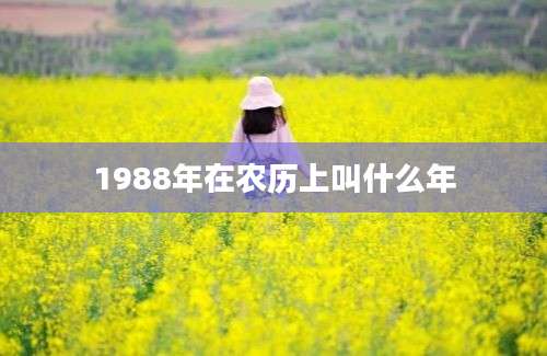 1988年在农历上叫什么年