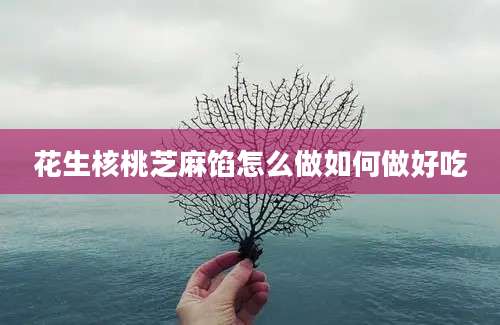 花生核桃芝麻馅怎么做如何做好吃