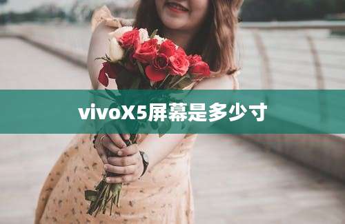 vivoX5屏幕是多少寸