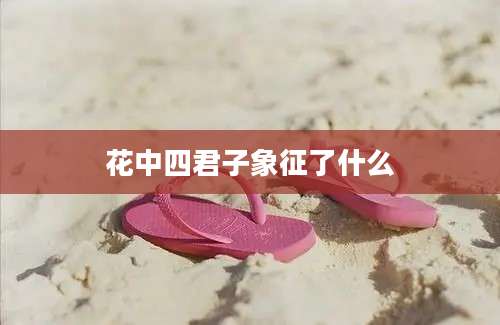 花中四君子象征了什么