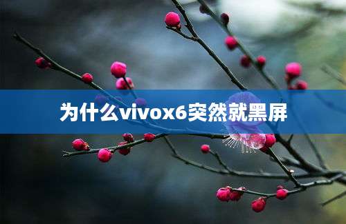 为什么vivox6突然就黑屏