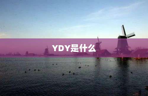 YDY是什么