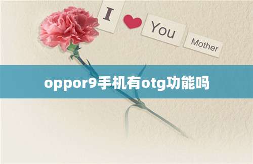 oppor9手机有otg功能吗