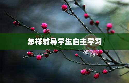 怎样辅导学生自主学习