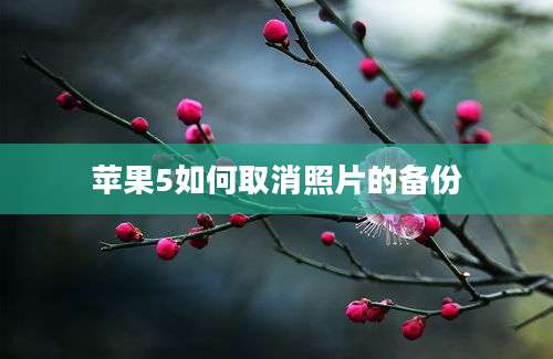 苹果5如何取消照片的备份