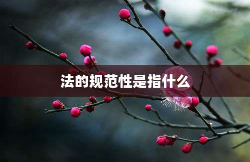 法的规范性是指什么