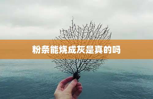 粉条能烧成灰是真的吗