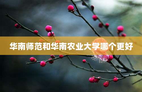 华南师范和华南农业大学哪个更好