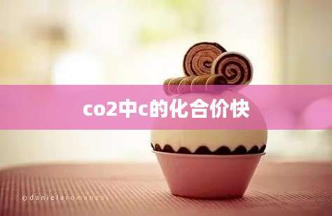 co2中c的化合价快