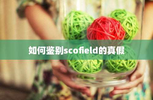 如何鉴别scofield的真假