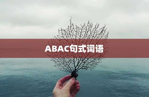 ABAC句式词语