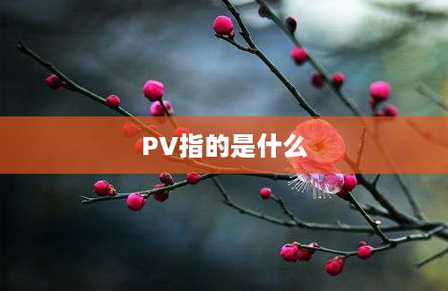 PV指的是什么