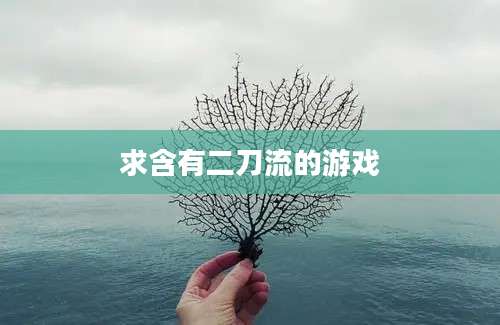 求含有二刀流的游戏