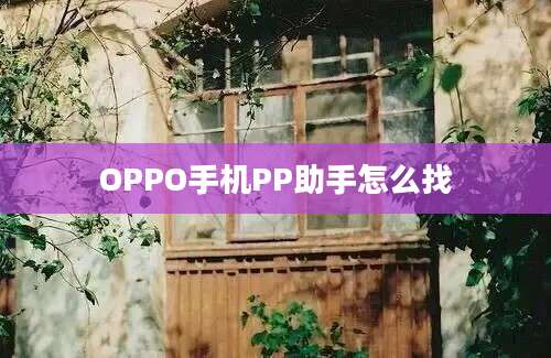 OPPO手机PP助手怎么找