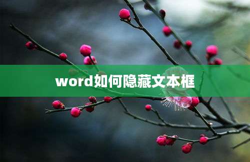 word如何隐藏文本框