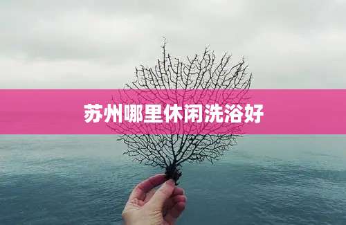 苏州哪里休闲洗浴好