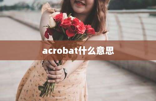 acrobat什么意思