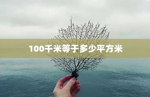 100千米等于多少平方米