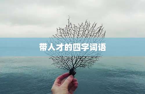 带人才的四字词语