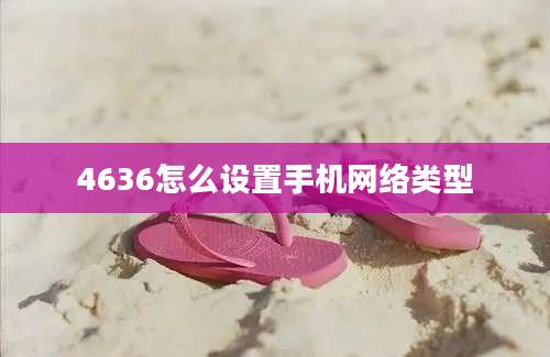 4636怎么设置手机网络类型