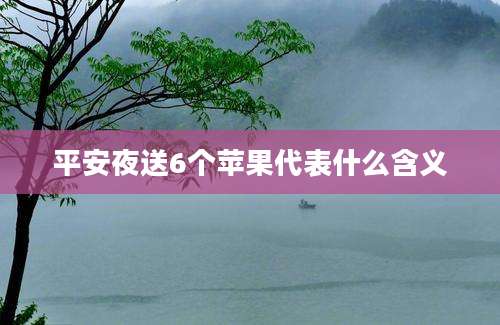 平安夜送6个苹果代表什么含义