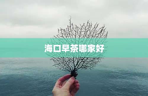 海口早茶哪家好