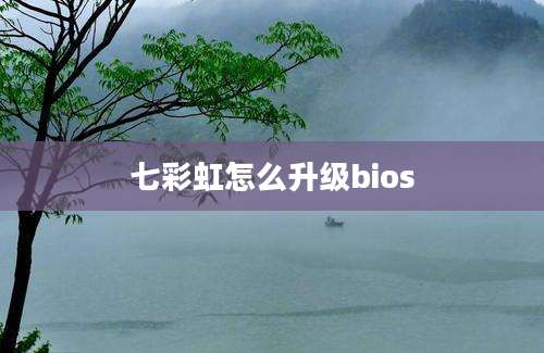 七彩虹怎么升级bios