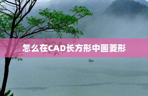 怎么在CAD长方形中画菱形