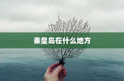 秦皇岛在什么地方