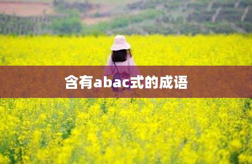 含有abac式的成语