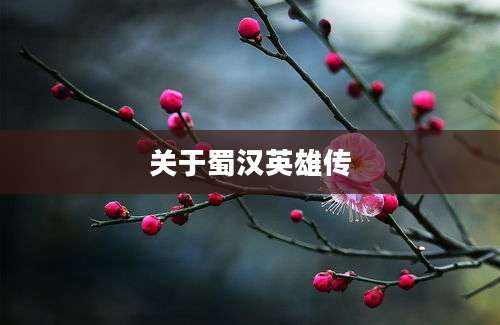 关于蜀汉英雄传