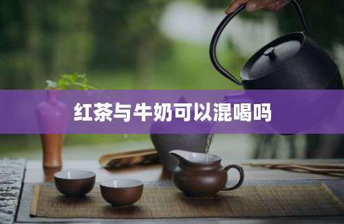 红茶与牛奶可以混喝吗