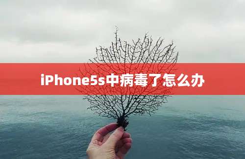 iPhone5s中病毒了怎么办