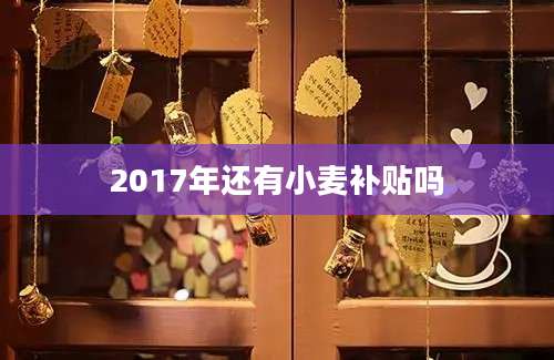 2017年还有小麦补贴吗