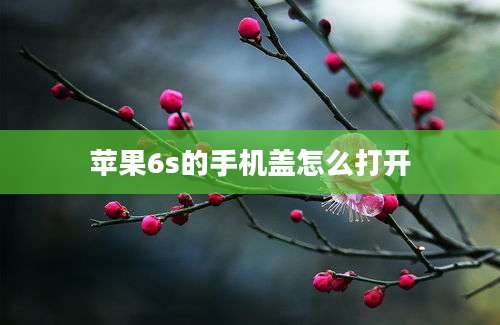 苹果6s的手机盖怎么打开