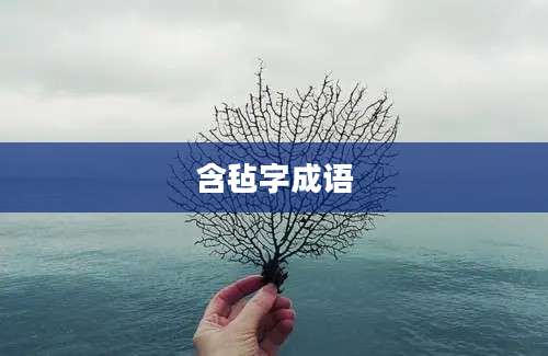 含毡字成语