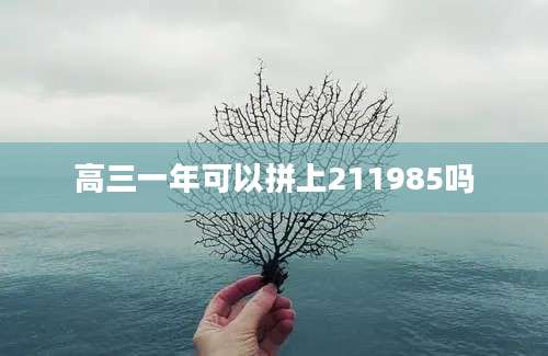 高三一年可以拼上211985吗